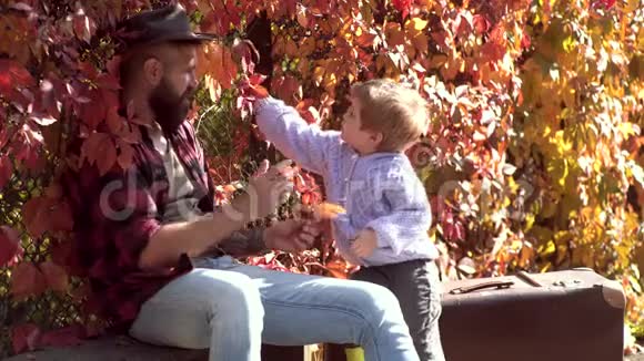 秋园晚会父亲带儿子我们喜欢秋天的时光在一起家长教孩子父亲和孩子玩得开心视频的预览图