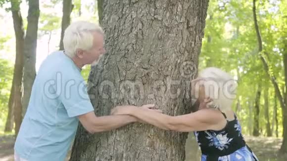 可爱的欢乐成熟的夫妻在爱情中拥抱厚厚的树互相抚摸的手老年男女放松视频的预览图