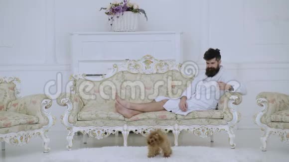 精英休闲理念穿着浴袍喝着咖啡早上在豪华酒店和狗玩耍的人很困视频的预览图