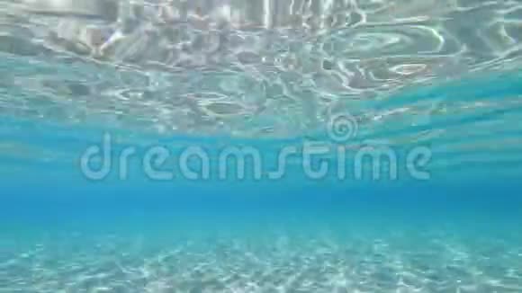 加勒比海清澈海水的水下景观视频的预览图