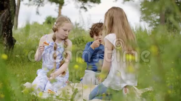 孩子们在野花丛中的草地上野餐时吃披萨视频的预览图