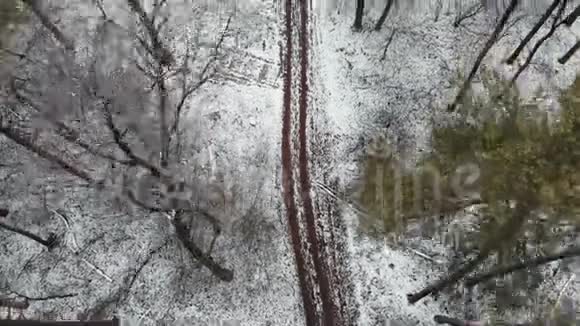 冬天的松树林从无人驾驶飞机俯视的冬季公园从鸟瞰森林小径视频的预览图