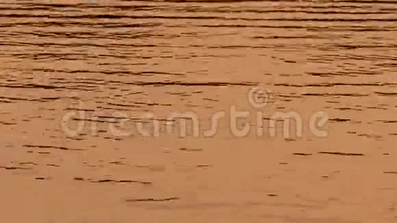 夕阳背景金色的水视频的预览图