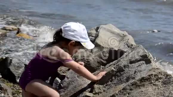 穿着紫色泳衣的小可爱女孩在海边的一块巨大的石头上爬行假期童年假期的概念视频的预览图