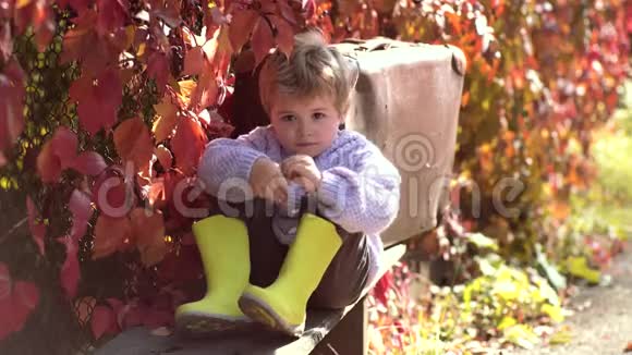 有黄叶的宝宝温暖的秋天阳光明媚的天气秋天公园里的小可爱男孩投掷黄色和红色的儿童视频的预览图