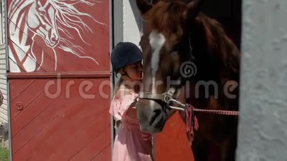 一个穿着粉红色连衣裙和骑马头盔的年轻女孩在骑马前用湿布擦拭一匹棕色的马动物护理4k4k视频视频的预览图