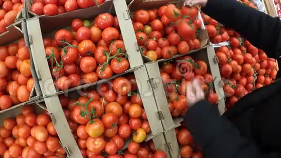 女人选择新鲜的有机番茄在当地的杂货店市场新鲜健康食品素食视频的预览图