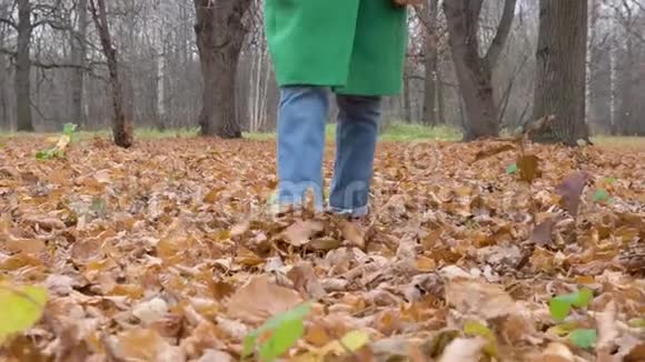 秋天的女人穿着蓝色牛仔裤的脚勃艮第靴在公园的黄叶上行走视频的预览图