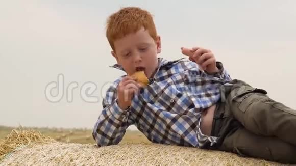 一个红发男孩躺在一只大牛的顶上拿着面包和香肠在麦田的中央包在一个大牛的身上视频的预览图