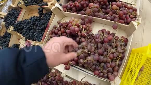 在杂货店市场上人们手工挑选新鲜的有机葡萄健康食品视频的预览图