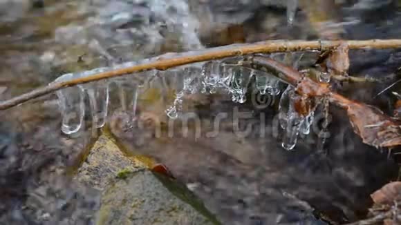 冬季冰冻的冬枝覆盖森林溪流视频的预览图