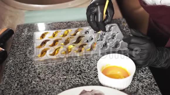 用可食用染料为倭黑猩猩涂上固体塑料调色板视频的预览图