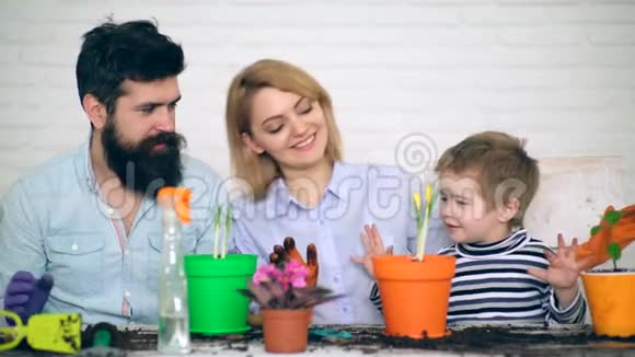 家庭善于在夏天在花盆里种花种花春观念自然与关怀家庭视频的预览图