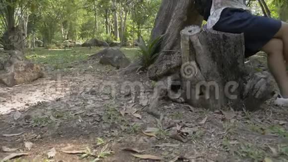 亚洲女人带着背包坐在树下用手机视频的预览图