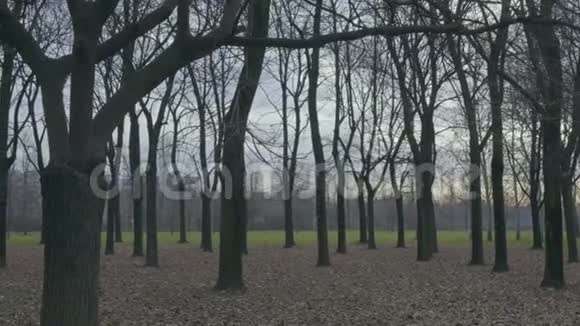 冬天的空公园米兰视频的预览图