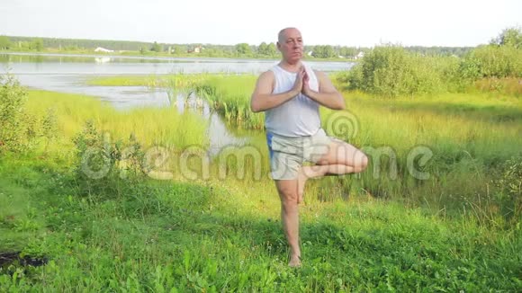 一位中年男子早上在湖边树上摆姿势练习瑜伽视频的预览图