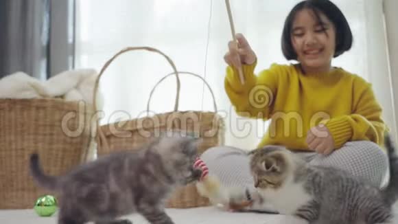 可爱的亚洲小孩玩小猫慢动作视频的预览图