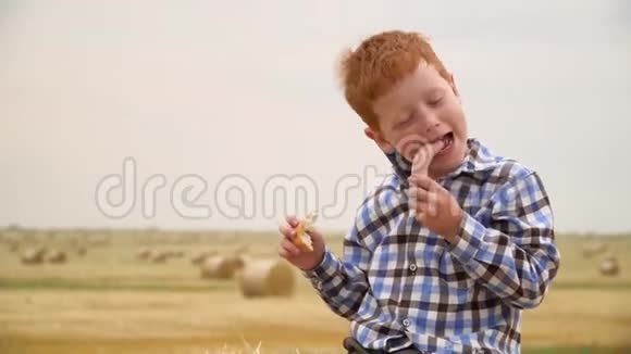 一个红头发的男孩坐在一只大牛的顶上拿着面包和香肠放在一片麦田的中央夏天有包视频的预览图