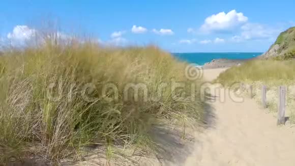 布列塔尼海岸线上的欧洲海滩草视频的预览图