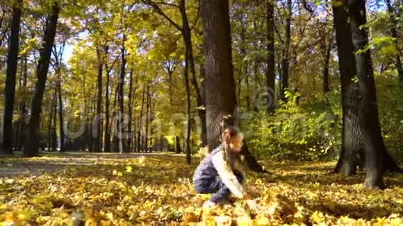 秋天公园里阳光洒在可爱的小女孩身上把黄色的叶子扔到空中视频的预览图
