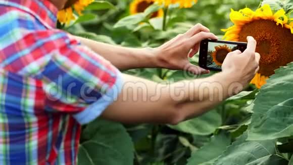 聪明的男性农民在手机上拍摄葵花籽使用现代技术的农学家视频的预览图