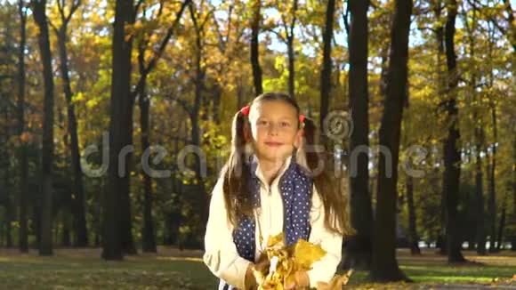快乐的小女孩看着相机在阳光明媚的秋天公园里扔黄叶视频的预览图