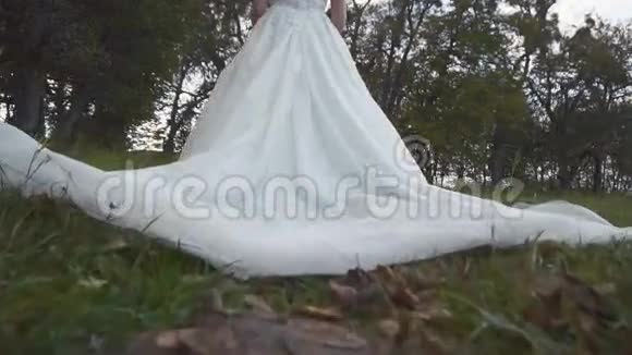 新娘的婚纱在草地上视频的预览图
