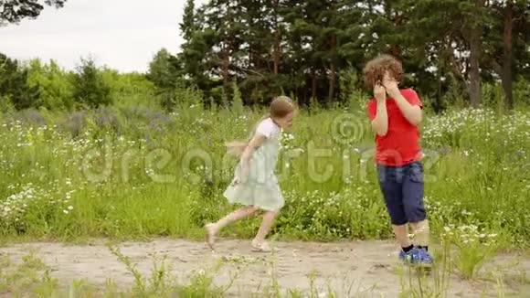 在夏季户外活动中孩子们在花甸上散步和玩耍撕花视频的预览图