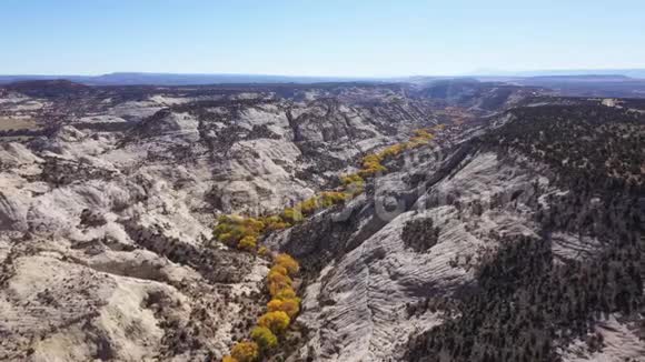 秋天在约塞米蒂公园的灰色岩石的峡谷上有黄色的叶子视频的预览图