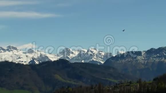 一只鸟飞瑞士卢塞恩湖视频的预览图