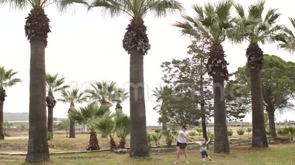 母子走在公园里的棕榈树和针叶树之间视频的预览图