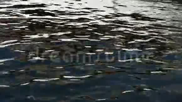 海水上五颜六色的倒影视频的预览图
