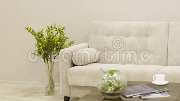带有设计椅和装饰格子的简约白色纺织沙发视频的预览图