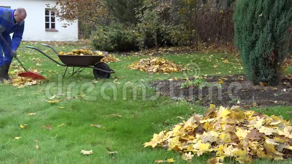 人们在秋天的花园里用大耙和手推车工作4K视频的预览图
