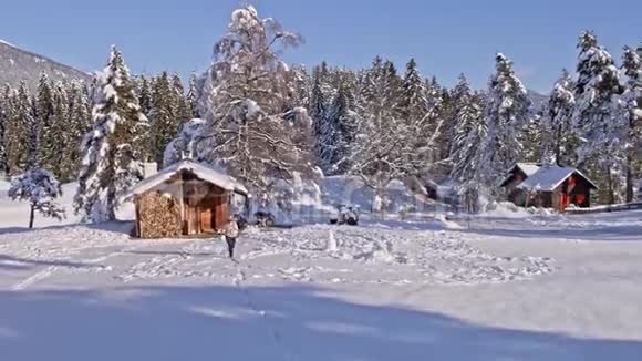 冬季女孩跑雪空中4K视频的预览图