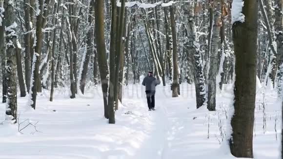 雪林中的跑步者视频的预览图