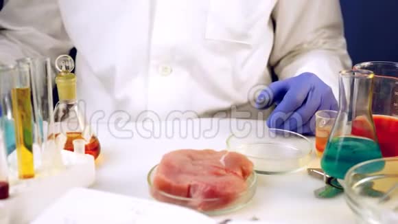 在分析了肉之后实验室工作人员把带有E添加剂的盘子放在上面视频的预览图