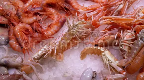新鲜的活虾躺在海港的市场柜台上移动爪子视频的预览图
