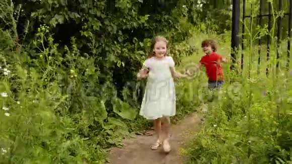 在乡下散步的嬉戏的男孩和女孩开朗的哥哥姐姐在小路上奔跑绿色的草坪夏季视频的预览图