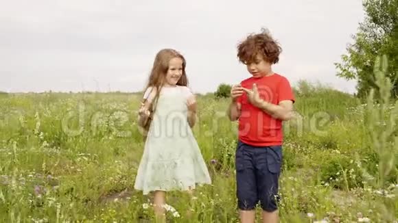 小男孩和小女孩在绿色的夏田散步时抚摸牛蒡花弟弟妹妹看着绽放视频的预览图
