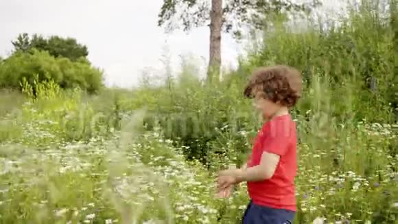 在夏天的时候卷曲的男孩走在花田上可爱的小男孩在草地上散步视频的预览图