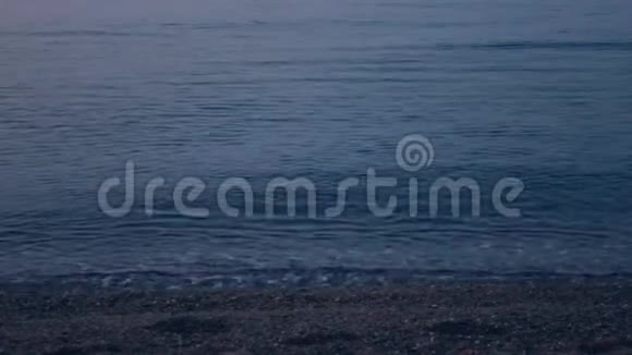 清晨在平静的海上视频的预览图