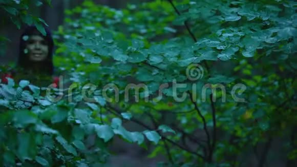森林中的若虫看着相机自然精神神话春天视频的预览图