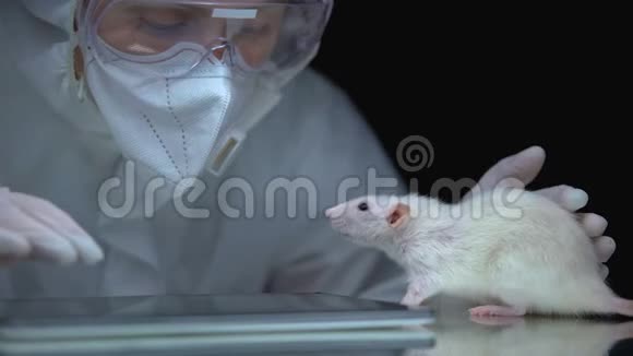科学家观察大鼠实验后的反应在线报告中填写数据视频的预览图