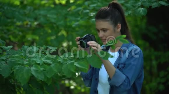 女摄影师在公园拍绿树叶子博物学家的爱好视频的预览图