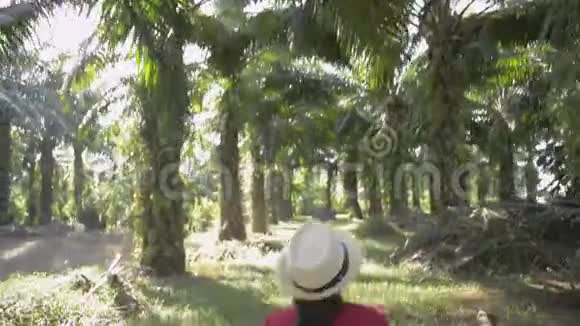 女性种植园主正在照料产品并在油棕种植园行走视频的预览图