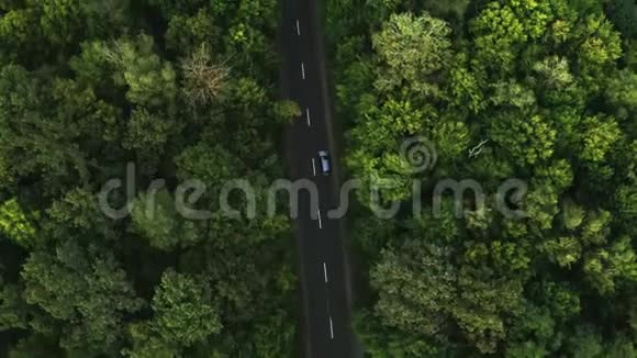 灰色汽车沿着绿色的夏季森林行驶鸟瞰视频的预览图