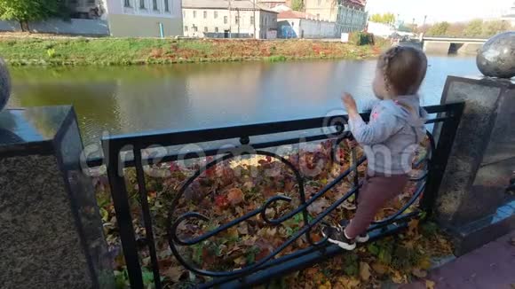 秋天站在河边的小女孩视频的预览图