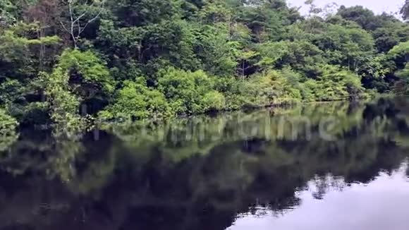 河边树木的景色视频的预览图