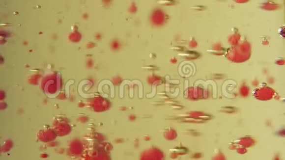 玫瑰和透明气泡漂浮在金色液体中快关门视频的预览图